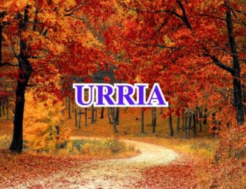 2026 URRIKO MENUA